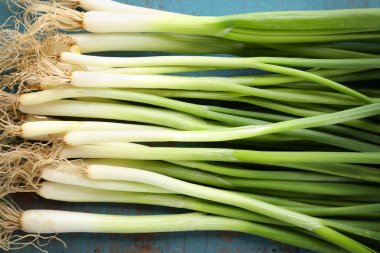 Top view of green onion clipart