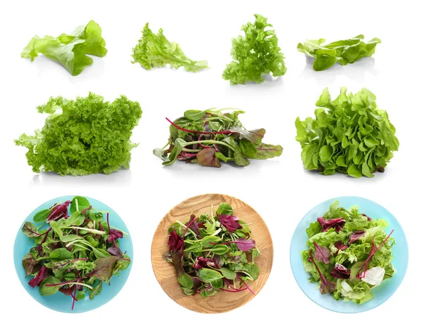 Collage of salad mix — Stock Photo, Image