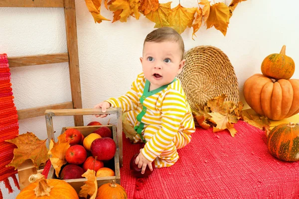 縞模様のパジャマで屋内でのりんごのバスケットかわいい赤ちゃん — ストック写真