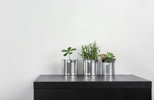 Puszki aluminiowe wykorzystywane jako pojemniki do uprawy roślin — Zdjęcie stockowe