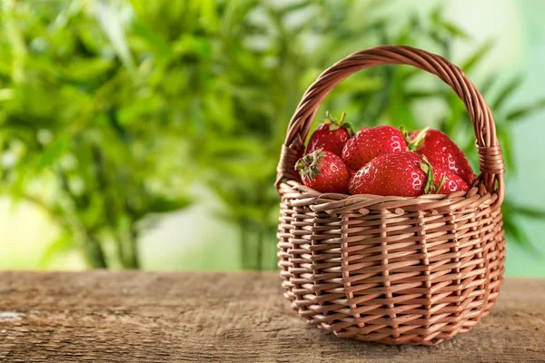 Čerstvé zralé jahody — Stock fotografie