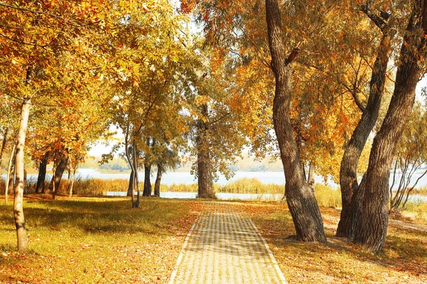 Bellissimo parco autunnale — Foto Stock