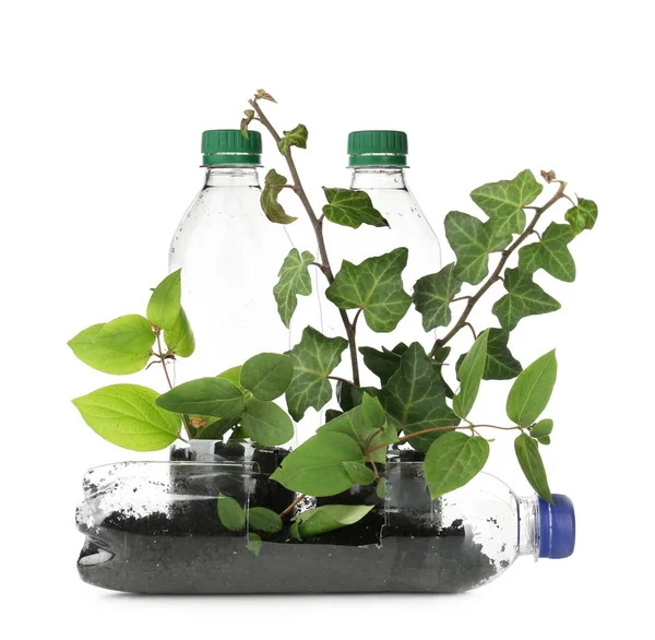 Bouteilles en plastique utilisées comme récipients pour la culture de plantes sur fond blanc — Photo