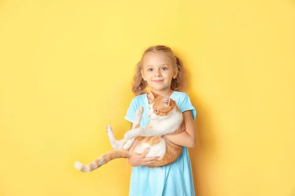 Kleines Mädchen mit Katze — Stockfoto