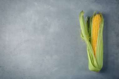 Taze mısır mısır koçanı grunge arka plan üzerinde