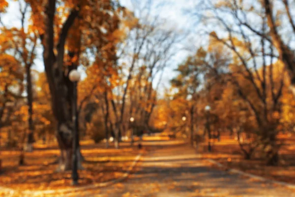 Belo parque outono — Fotografia de Stock