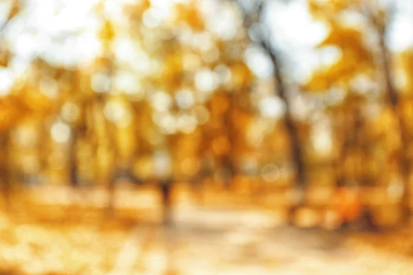 Schöner Herbstpark — Stockfoto