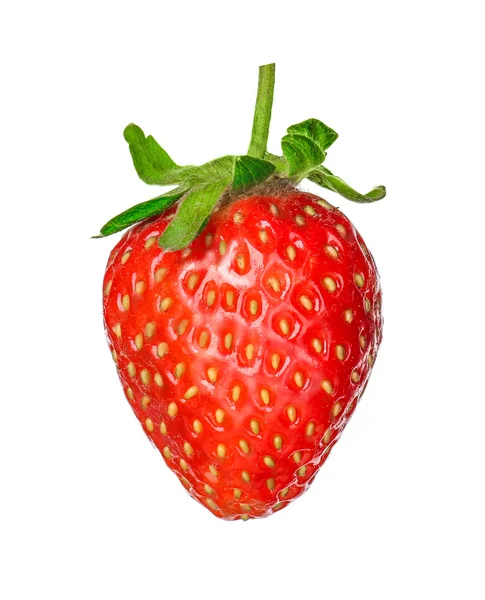 Fresh ripe strawberry — Stock Photo, Image