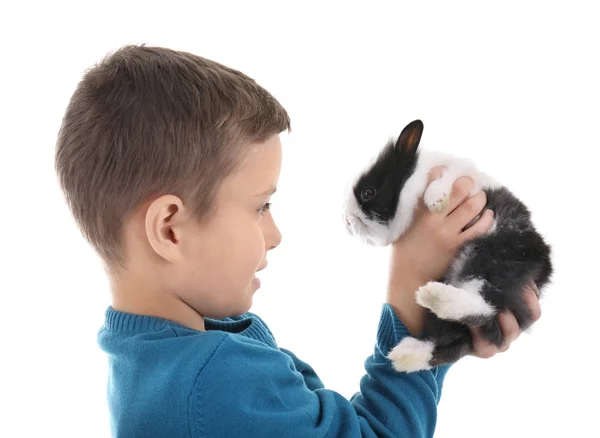 Schattige jongen met grappige konijn — Stockfoto