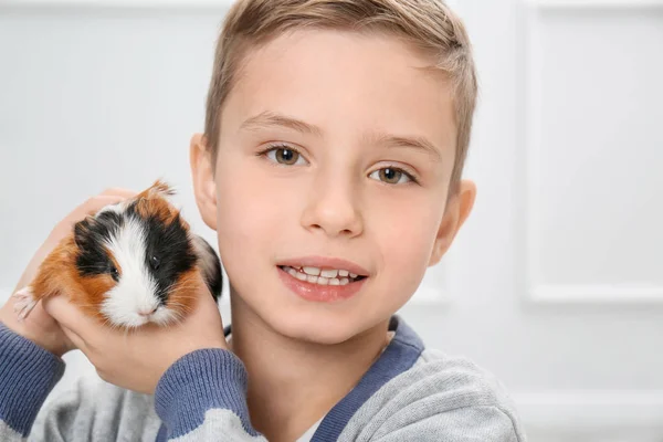 Pojke med roliga marsvin — Stockfoto