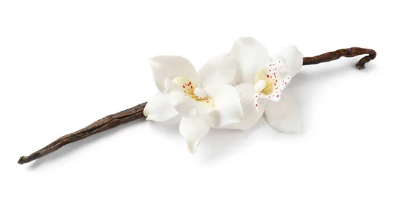 Vanillestangen und Blume — Stockfoto