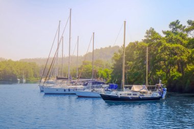 Güzel demirli tekneler 