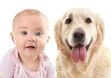 Beyaz arka plan üzerinde sevimli köpek bebekle