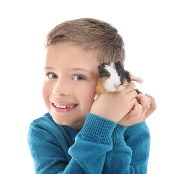 Schattige jongen met grappige cavia — Stockfoto