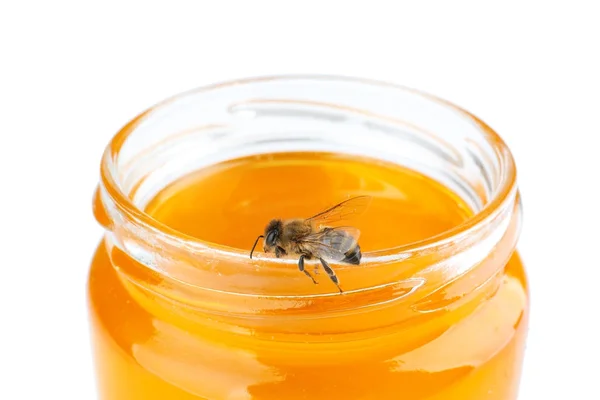 Μέλισσα στο βάζο του μελιού — Φωτογραφία Αρχείου