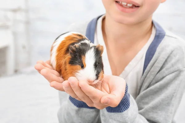 Pojke med marsvin — Stockfoto