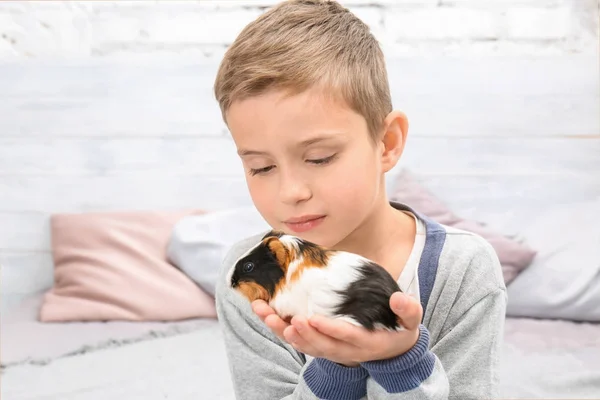 Pojke med roliga marsvin — Stockfoto