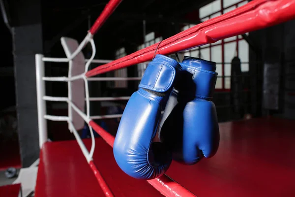 Boxing gloves on ropes of ring in gym — Stock Photo, Image