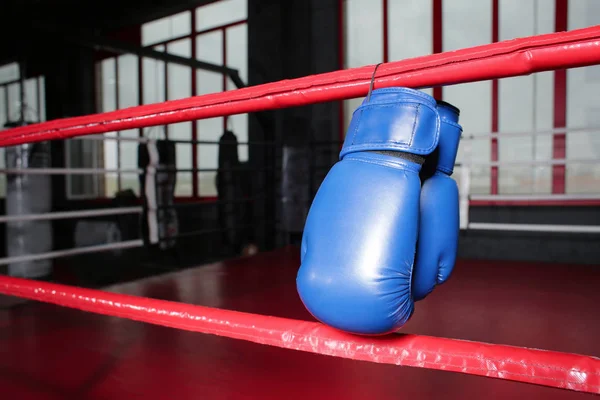 Boxing gloves on ropes — Stock Photo, Image