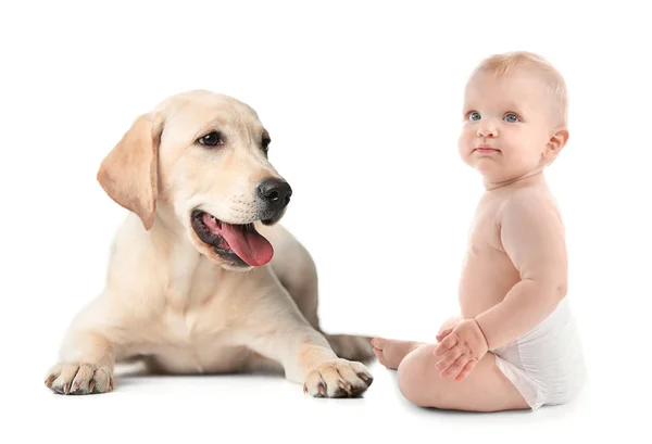Bébé avec chien mignon sur fond blanc — Photo