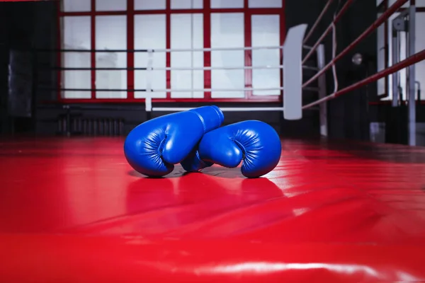 Spor salonu ringde boks eldivenleri — Stok fotoğraf