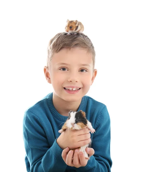 Pojke med marsvin och hamster — Stockfoto