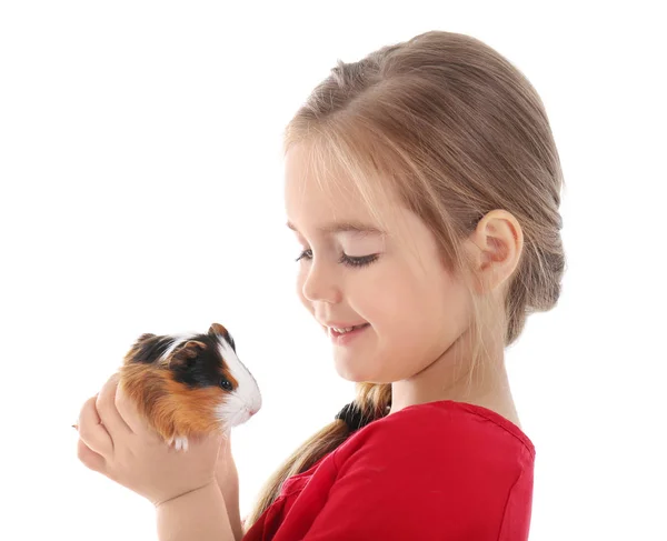 Niña con conejillo de indias —  Fotos de Stock