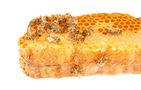 Honingraat met bijen op witte achtergrond — Stockfoto