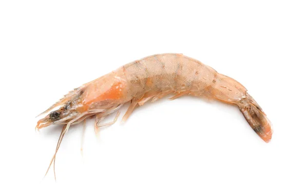 Fresh raw shrimp — Stock Photo, Image
