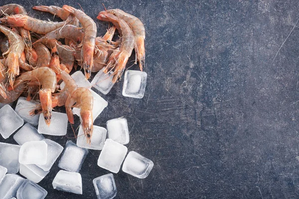 Camarones frescos con cubitos de hielo —  Fotos de Stock