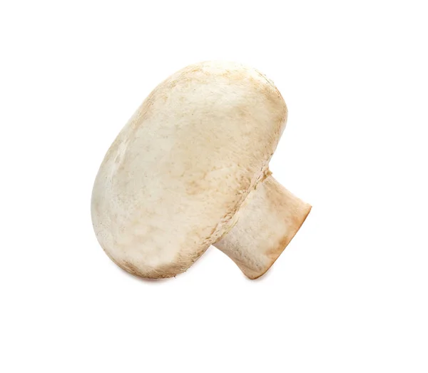Frischer Champignon Pilz auf weißem Hintergrund — Stockfoto