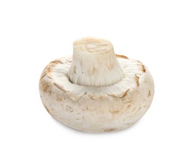 taze champignon mantar  