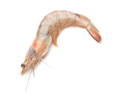 Beyaz arkaplanda taze karides
