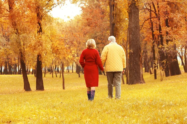 Casal de idosos caminhando no parque no dia de outono — Fotografia de Stock