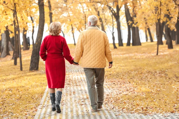 Couple de personnes âgées marchant dans le parc le jour d'automne — Photo