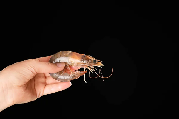 Woman holding fresh shrimp — Stock Photo, Image