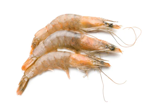 Crevettes fraîches sur fond blanc — Photo