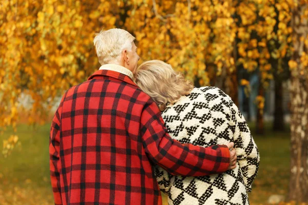 Pareja mayor en el parque en el día de otoño — Foto de Stock