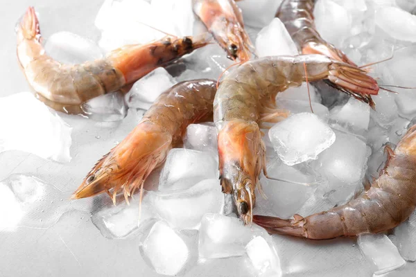 Čerstvé krevety na kostky ledu — Stock fotografie