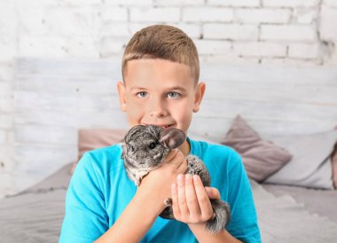 Sevimli çocuk komik chinchilla, kapalı ile