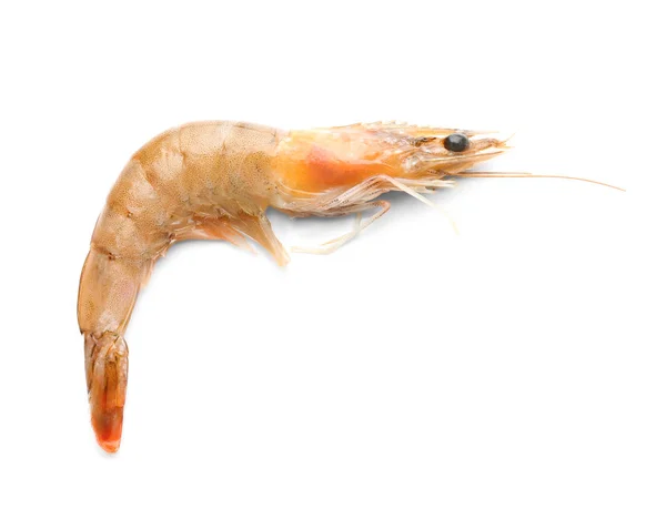 Fresh shrimp on white background — Stock Photo, Image