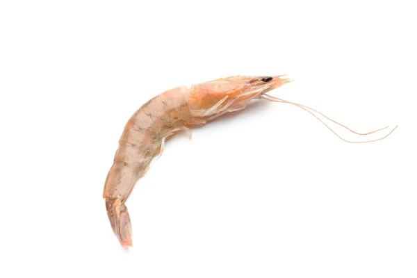 Fresh shrimp on white background — Stock Photo, Image