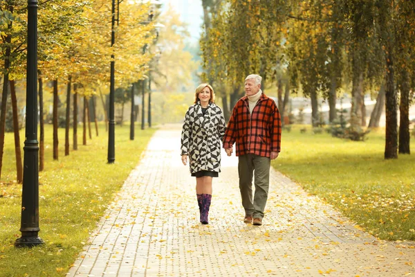 Couple de personnes âgées marchant dans le parc le jour d'automne — Photo