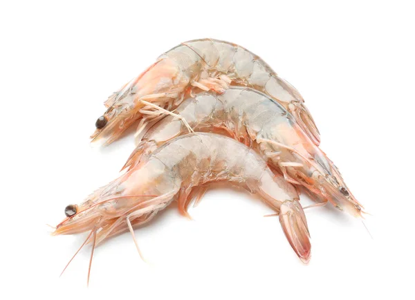 Crevettes fraîches sur fond blanc — Photo