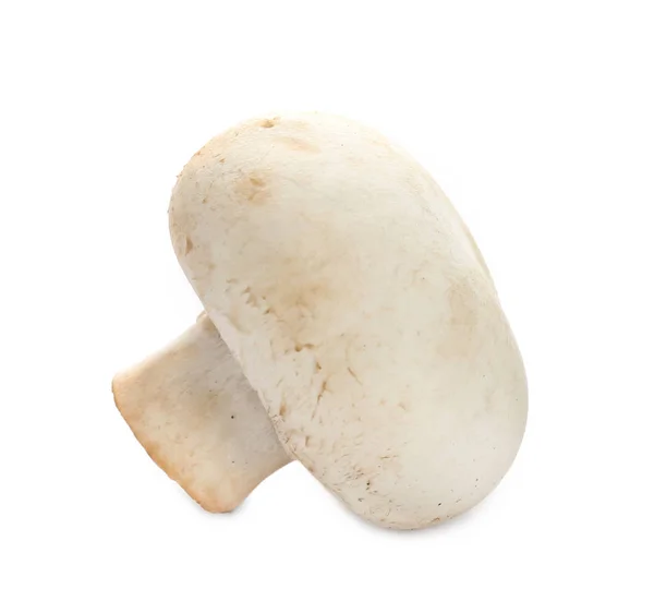 Fungo champignon fresco — Foto Stock