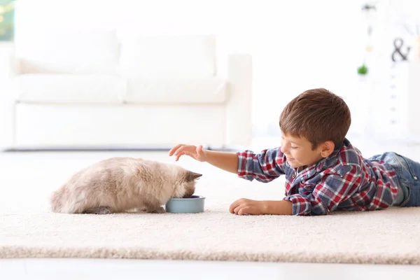 Schattige kleine jongen voeden pluizig kat thuis — Stockfoto