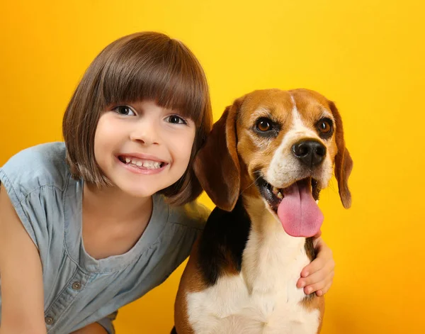 Nettes Mädchen mit Hund — Stockfoto