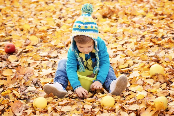 Anak kecil yang lucu bermain di taman musim gugur — Stok Foto