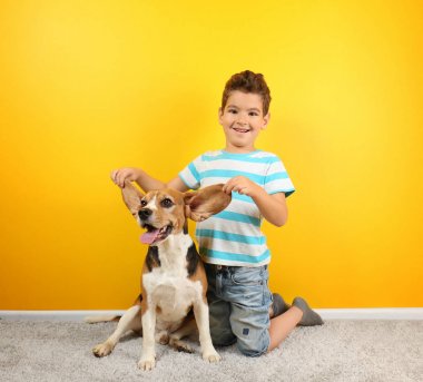 Renk duvarının yakınında köpekle oynayan sevimli çocuk