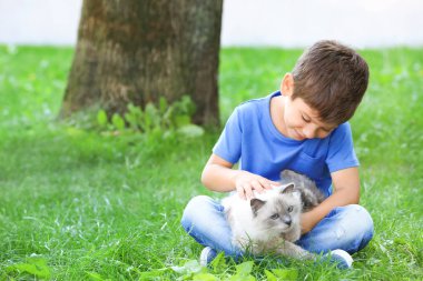 kabarık kedi ile küçük çocuk 